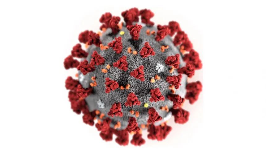 Coronavirus in Israel - News & Resources in English | Tel Aviv Doctor