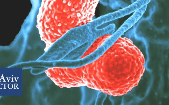 What is Sepsis – Medical Background and Warning Signs