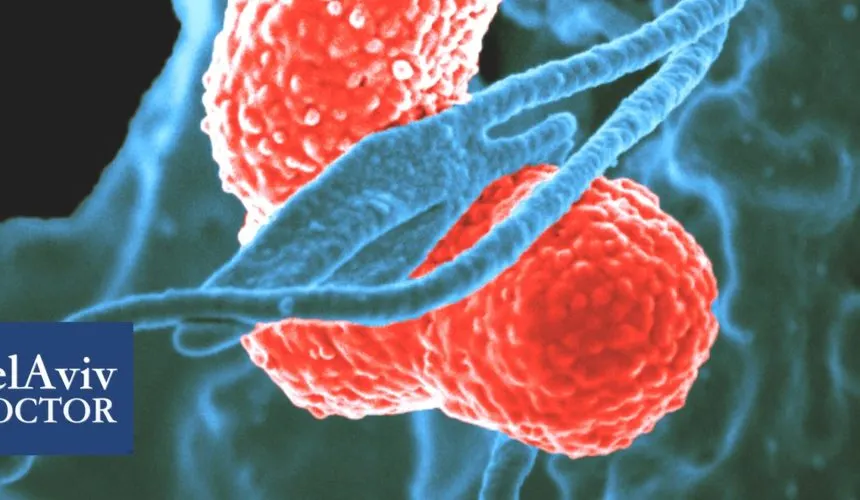 What is Sepsis – Medical Background and Warning Signs - Part 2
