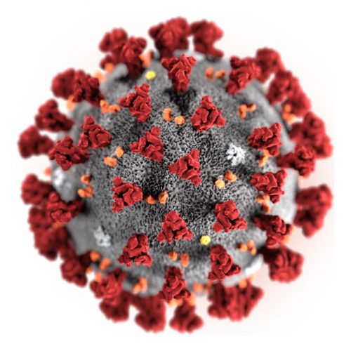 Coronavirus in Israel – News & Resources