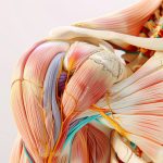 טיפול בכאבים באמצעות אור / לייזר (פוטוביומודולציה)